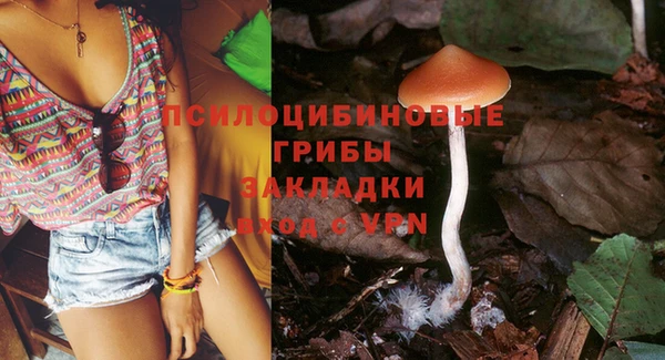 бошки Армянск