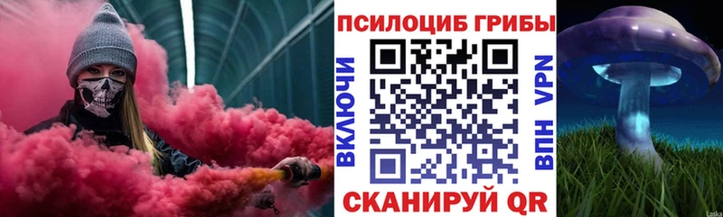 Псилоцибиновые грибы мицелий  Беломорск 